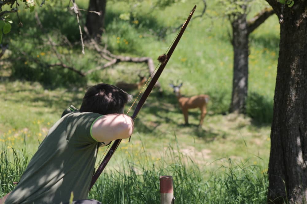 Archer at the Collenberg 3D Archery Course