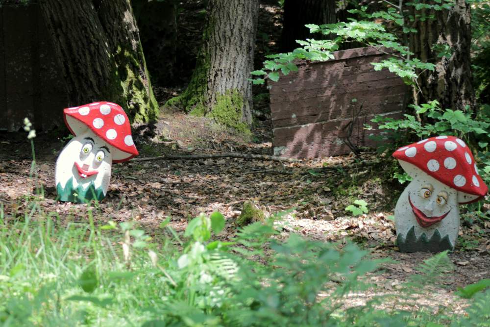 Mushrooms at the Eschau 3D Archery Course