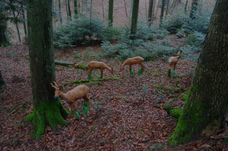 Kummersklinge 3D Archery Course