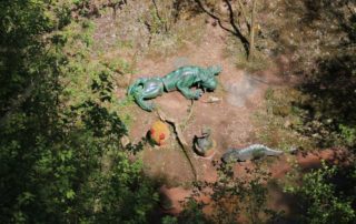 Drache auf dem Bogenparcours Wolfsschlucht